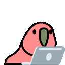 :laptop_parrot: