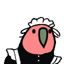 :parrot_maid: